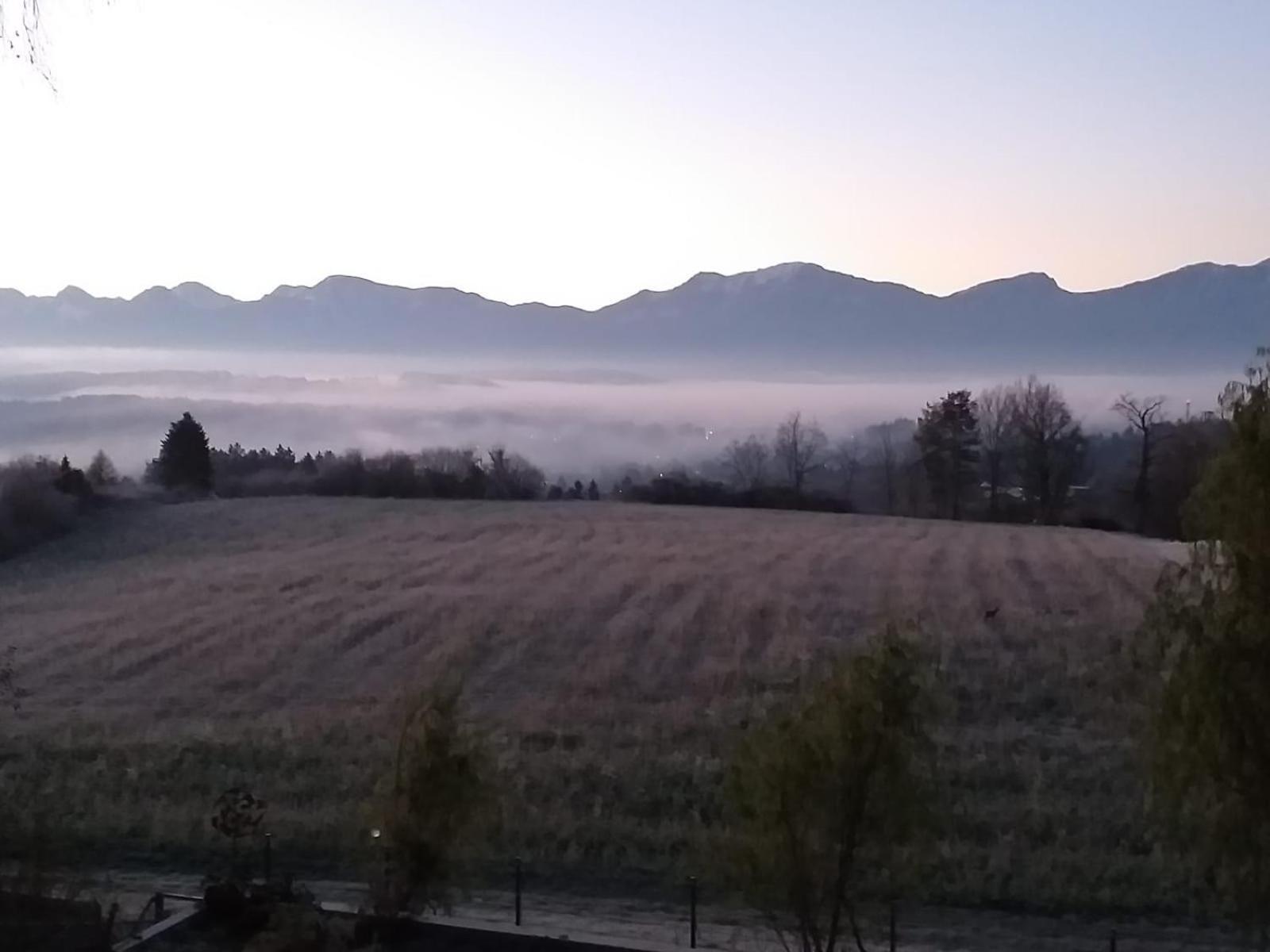 Schwalbennest Velden Διαμέρισμα Velden am Wörthersee Εξωτερικό φωτογραφία